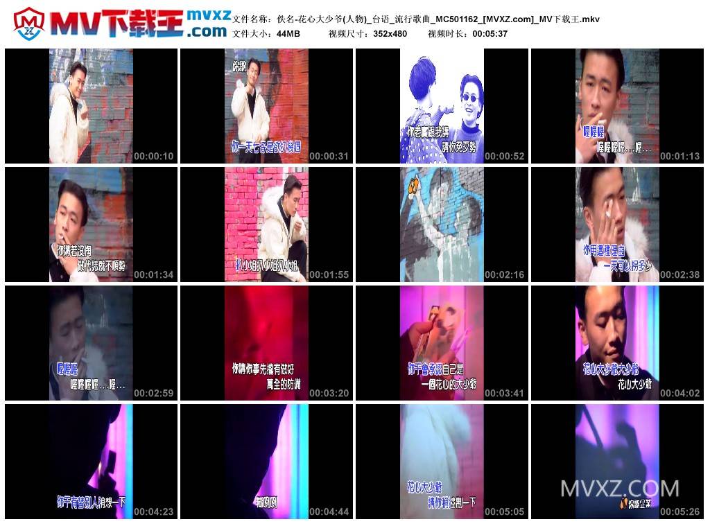 佚名-花心大少爷(人物)_台语_流行歌曲_MC501162